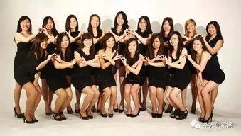 姐妹会的秘密,暗流涌动的秘密世界