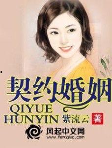 贴身女侍卫的契约婚姻,女侍卫的忠诚与爱情之旅