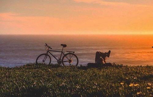 来自远方,探寻异域风情的奥秘