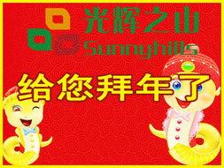 蛇年大吉之女婿拜年