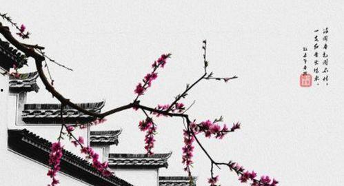 不是红杏也出墙,非红杏亦出墙,探寻自然之美