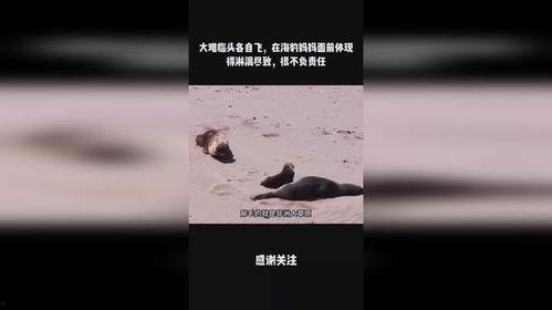 大难临头各自飞