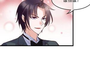 双生镜像陆先生对我忽冷忽热,陆先生的冷热交织之谜