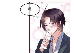 双生镜像陆先生对我忽冷忽热,陆先生的冷热交织之谜