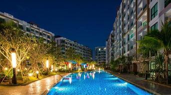 希达雅,探寻东方智慧与生活哲学的瑰宝